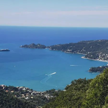 Hotel Montallegro-3